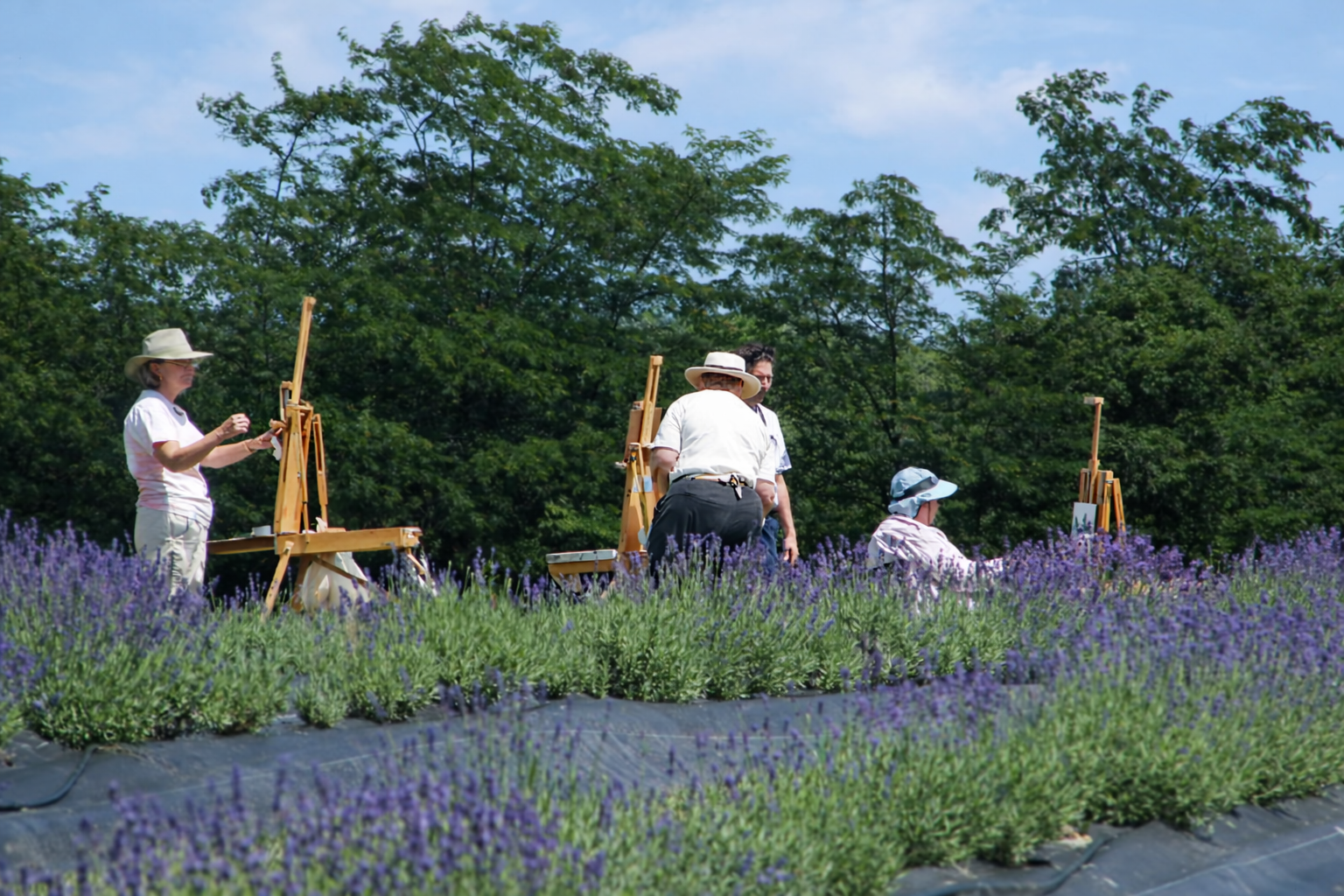Artists painting in the lavender field